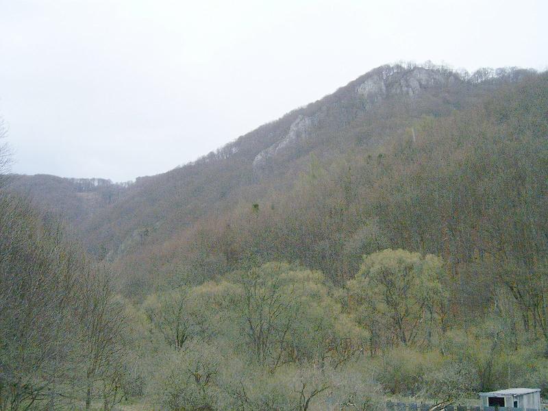 2012.04.14. 0057.jpg